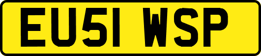 EU51WSP