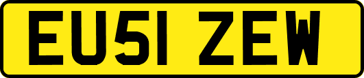 EU51ZEW