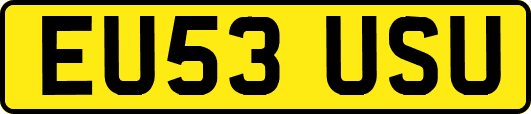 EU53USU