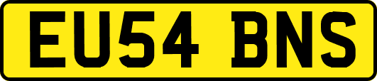 EU54BNS