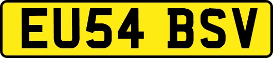 EU54BSV