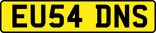 EU54DNS