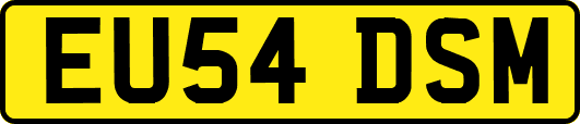 EU54DSM
