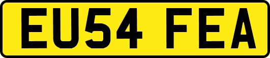 EU54FEA