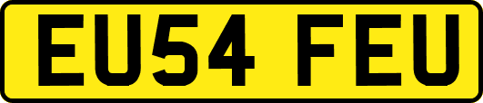 EU54FEU