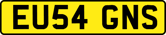 EU54GNS
