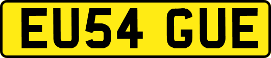 EU54GUE