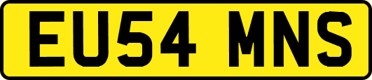 EU54MNS