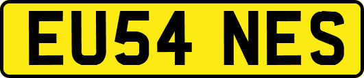 EU54NES