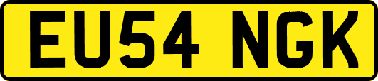 EU54NGK