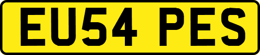 EU54PES