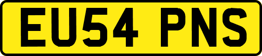 EU54PNS