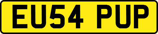 EU54PUP