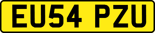 EU54PZU