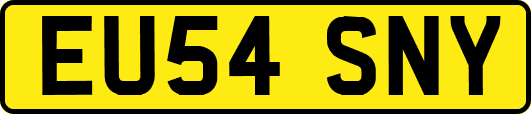 EU54SNY