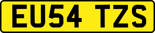 EU54TZS