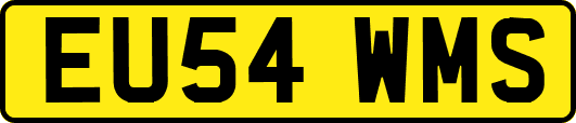 EU54WMS