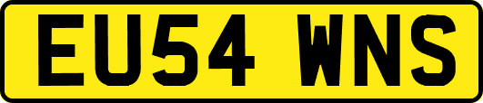 EU54WNS