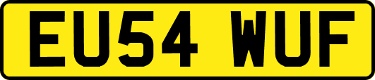 EU54WUF