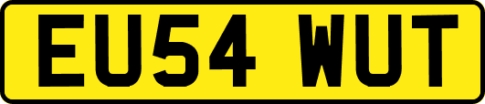 EU54WUT