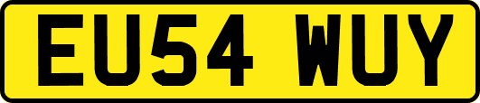 EU54WUY