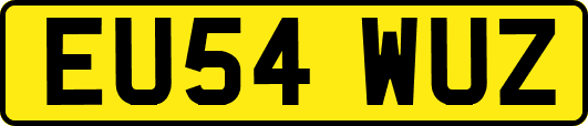EU54WUZ