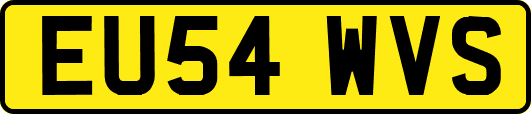 EU54WVS