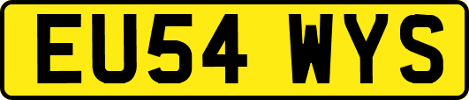 EU54WYS