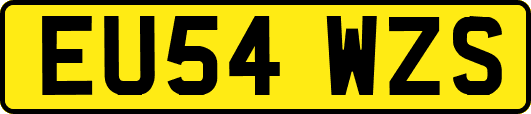 EU54WZS