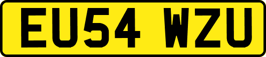EU54WZU