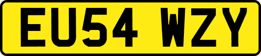 EU54WZY