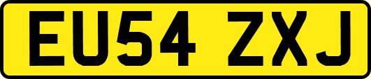 EU54ZXJ