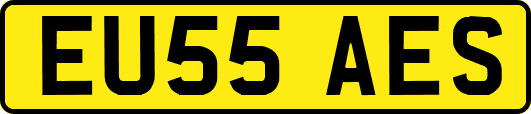 EU55AES