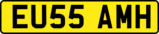 EU55AMH