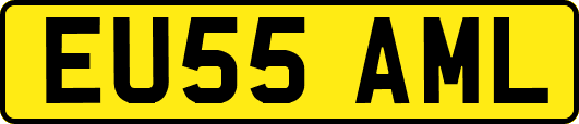 EU55AML