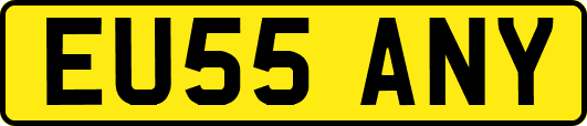 EU55ANY