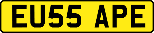 EU55APE