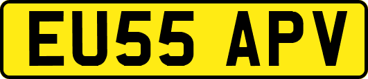 EU55APV