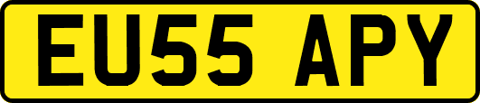 EU55APY