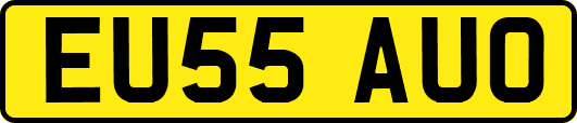 EU55AUO