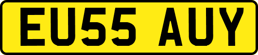 EU55AUY