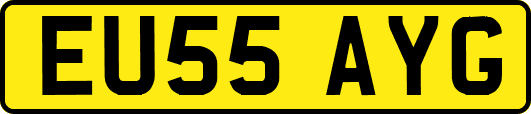 EU55AYG