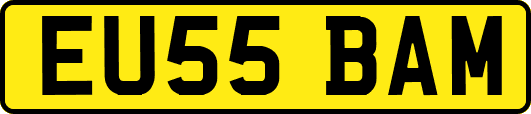EU55BAM