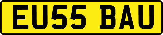 EU55BAU