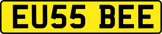 EU55BEE