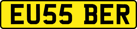 EU55BER