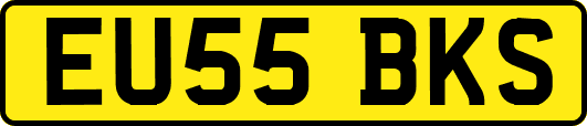 EU55BKS
