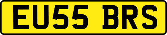 EU55BRS