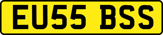 EU55BSS