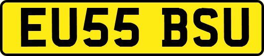 EU55BSU